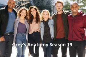 Grey’s Anatomy Season 19