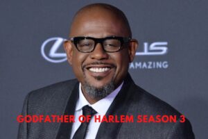 Godfather of Harlem Season 3