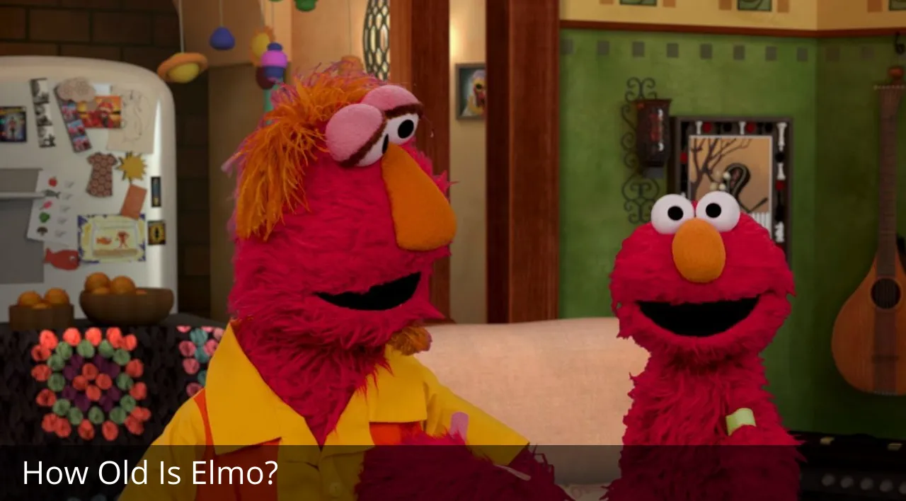 How Old Is Elmo?