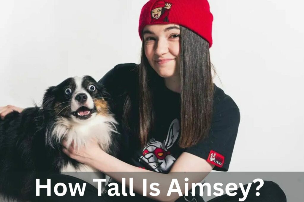 How Tall Is Aimsey?