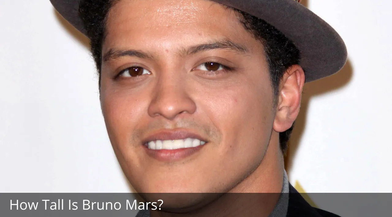 How Tall Is Bruno?