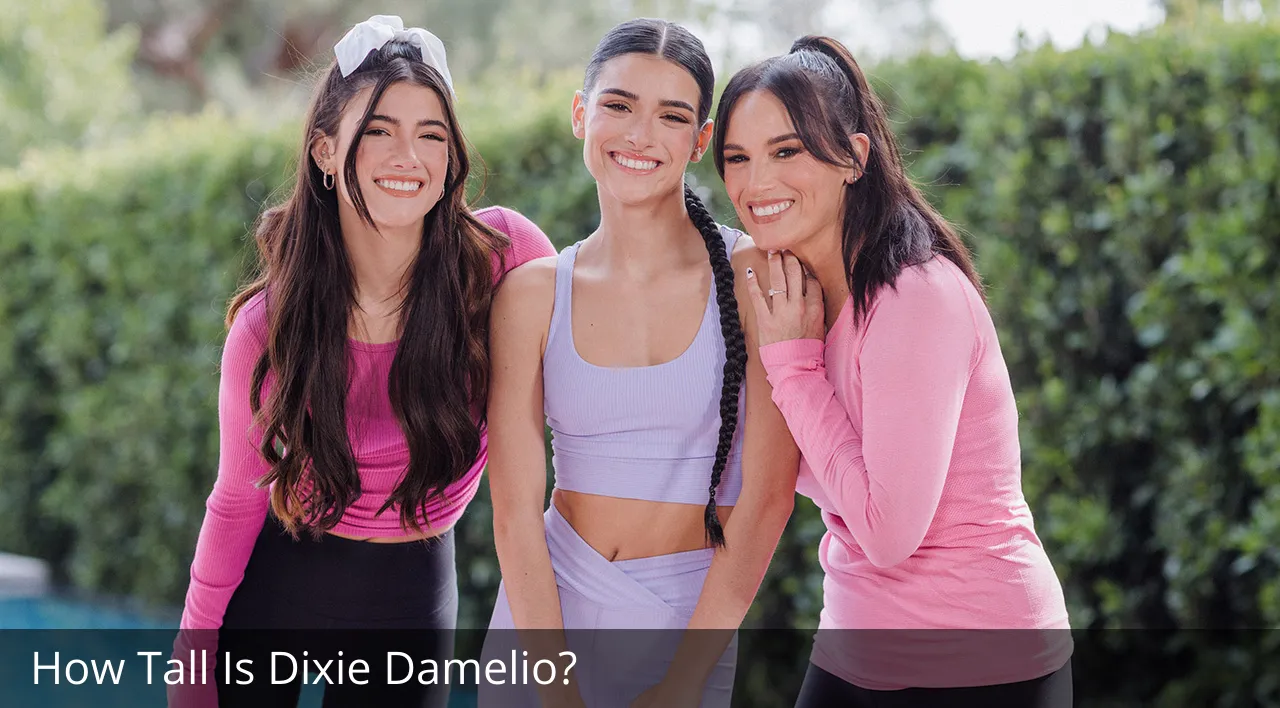 How Tall Is Dixie Damelio?