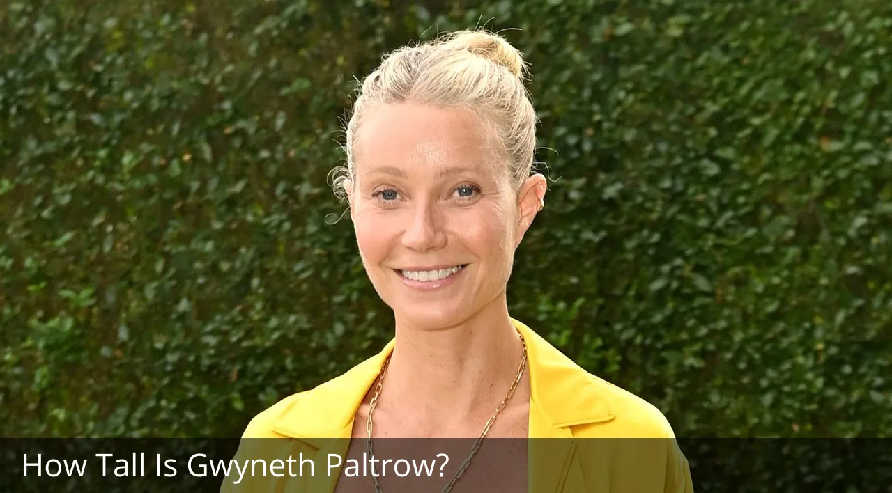 How Tall Is Gwyneth Paltrow?