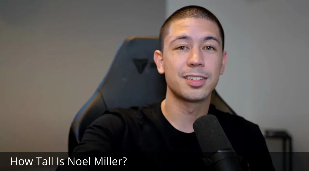 How Tall Is Noel Miller? 