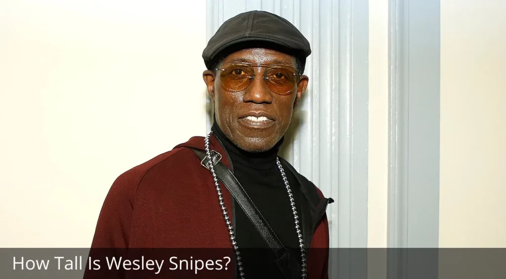 How Tall Is Wesley Snipes?