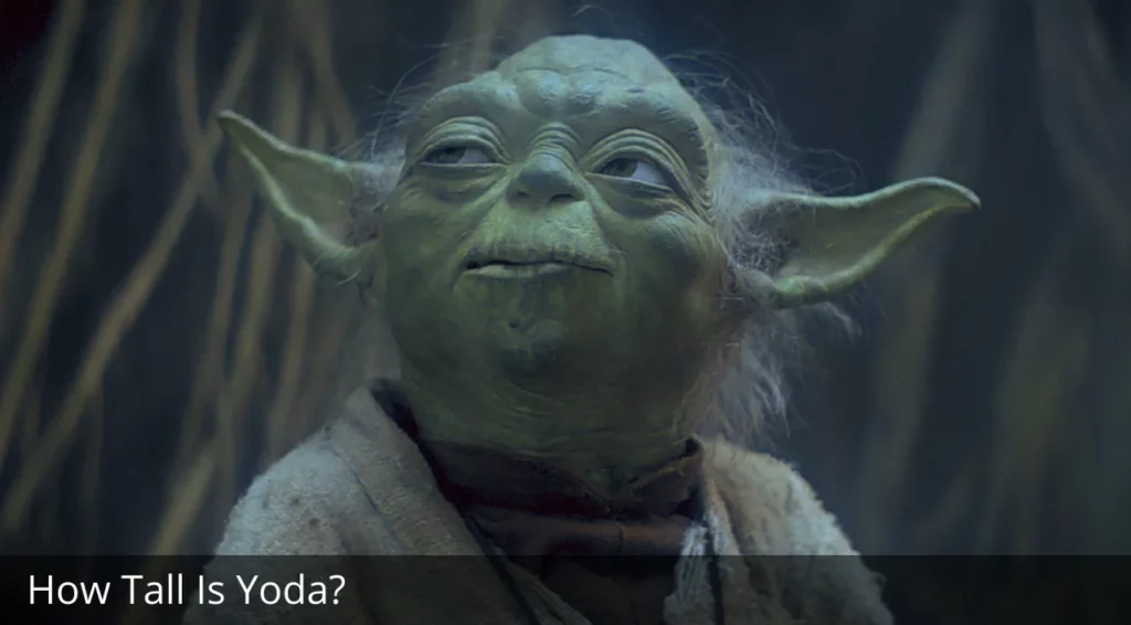 How Tall Is Yoda?