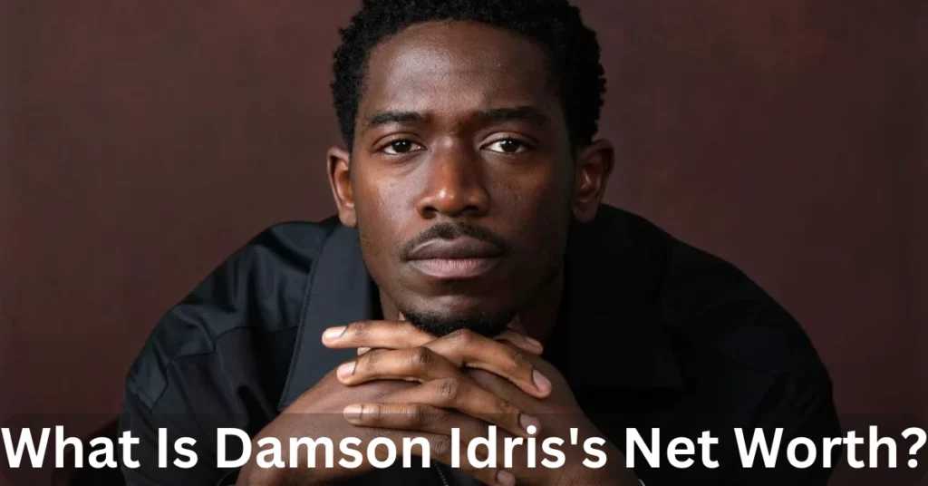 What Is Damson Idris's Net Worth?