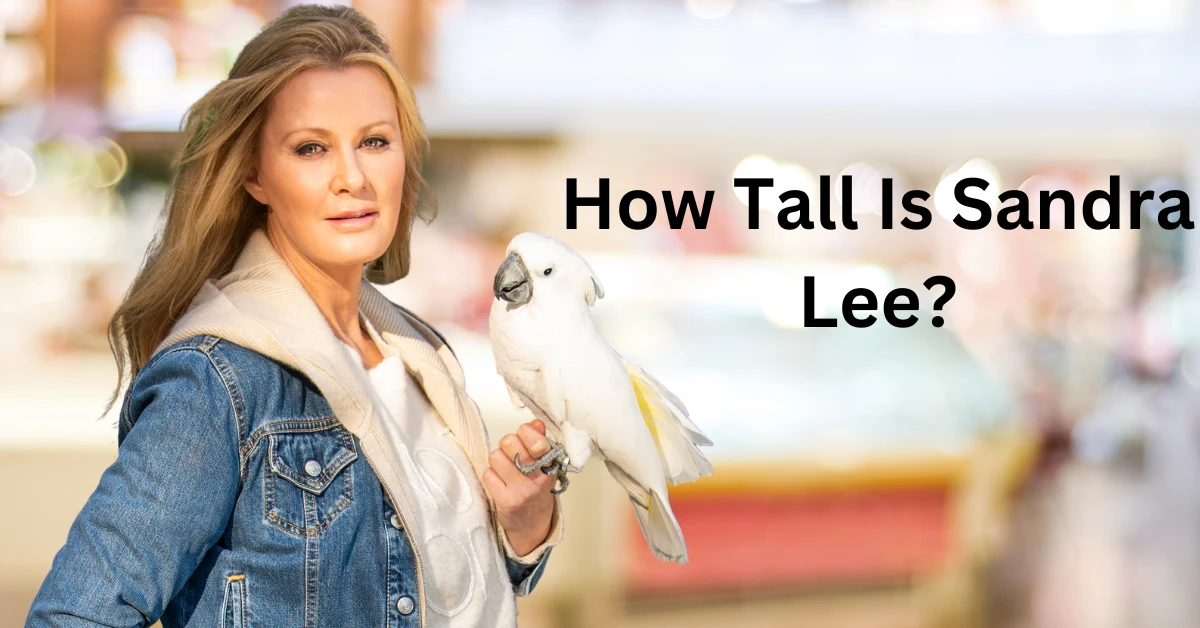 How Tall Is Sandra Lee?