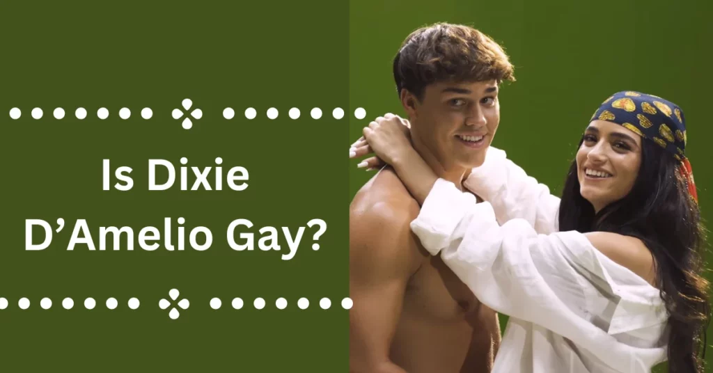 Is Dixie D’Amelio Gay?