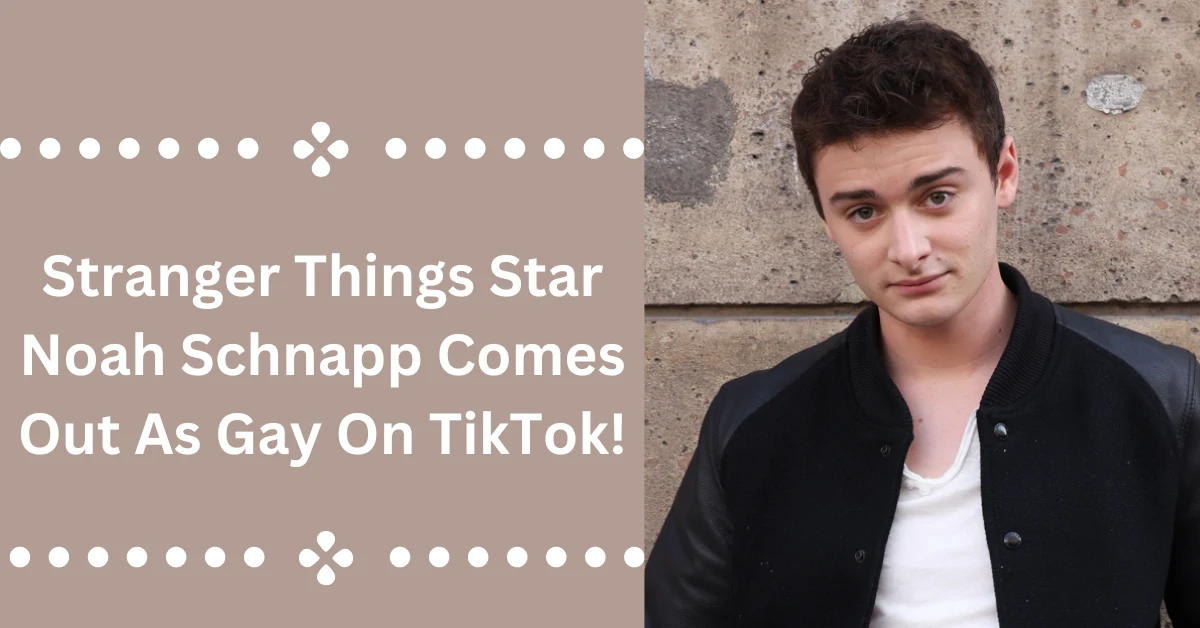 Stranger Things Star Noah Schnapp Comes Out As Gay On Tiktok