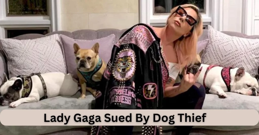 Lady Gaga Sued By Dog Thief